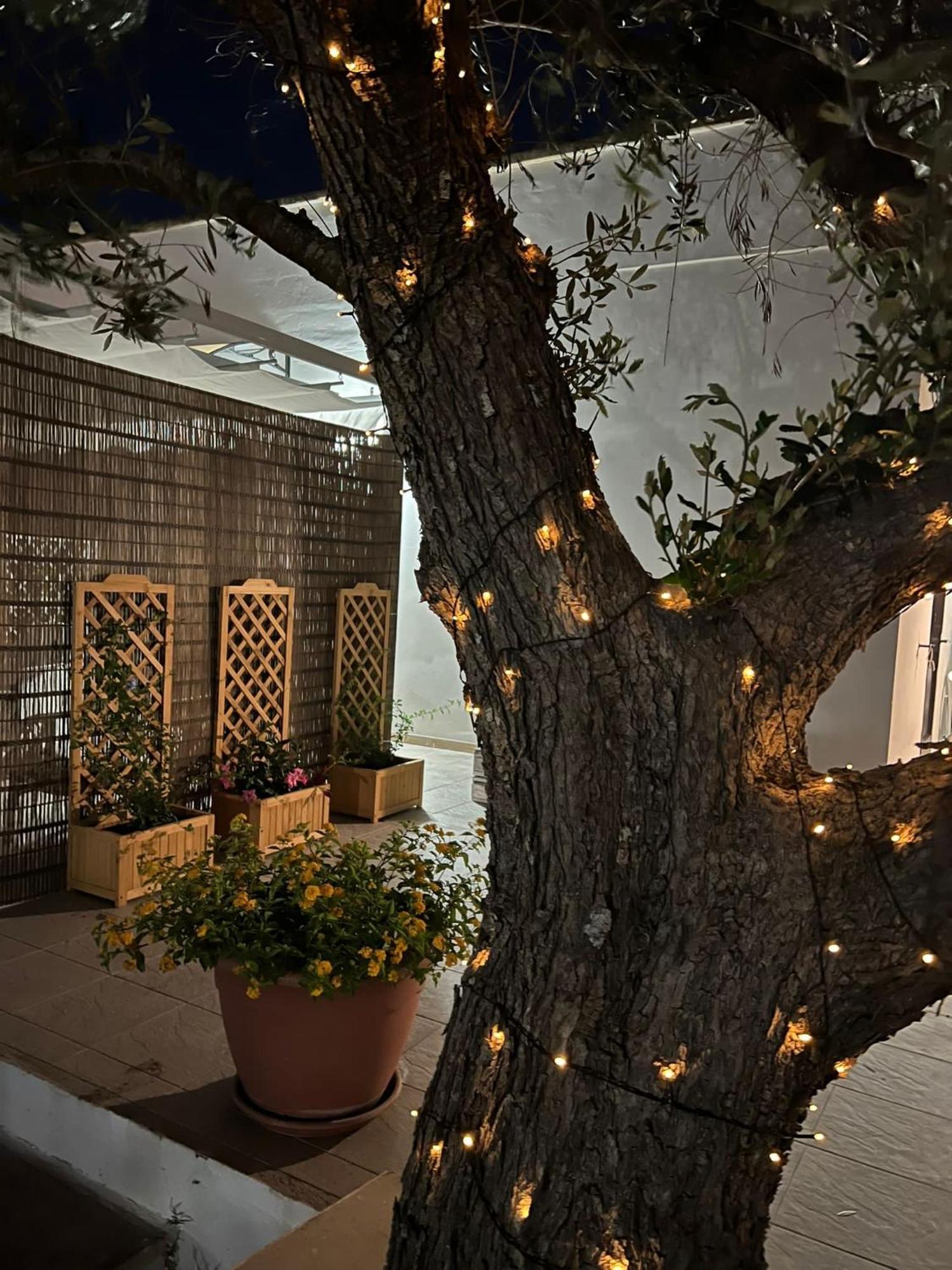 Holiday home Salento Don Peppino *