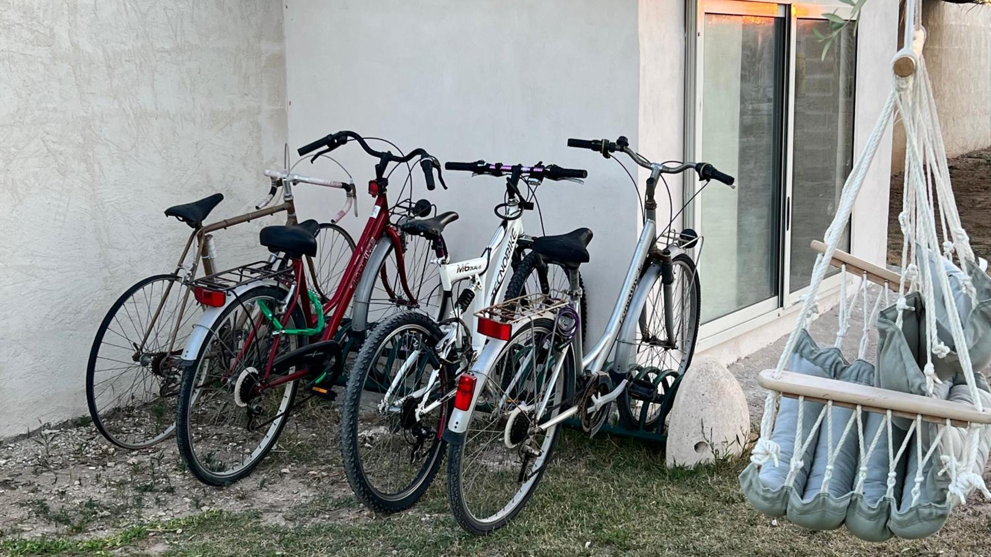 Salento Don Peppino Holiday home *