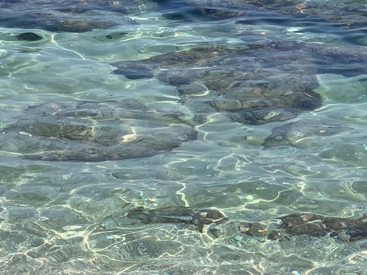 Salento Don Peppino Holiday home *